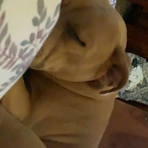 Meet your Posher, Jane